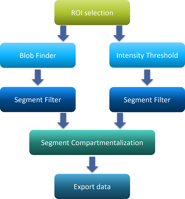 Flowchart: ROI selection → Blob Finder and Intensity Threshold → Segment Filter → Segment Compartmentalization → Export data