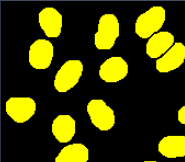 Black background with scattered solid yellow irregular rounded blobs