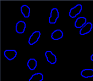 Black background with scattered blue outlined irregular rounded contours