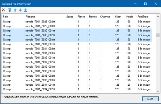 Detailed file information dialog showing table of D:\tmp sample_T001_... filenames and columns Path, Filename, PixelType