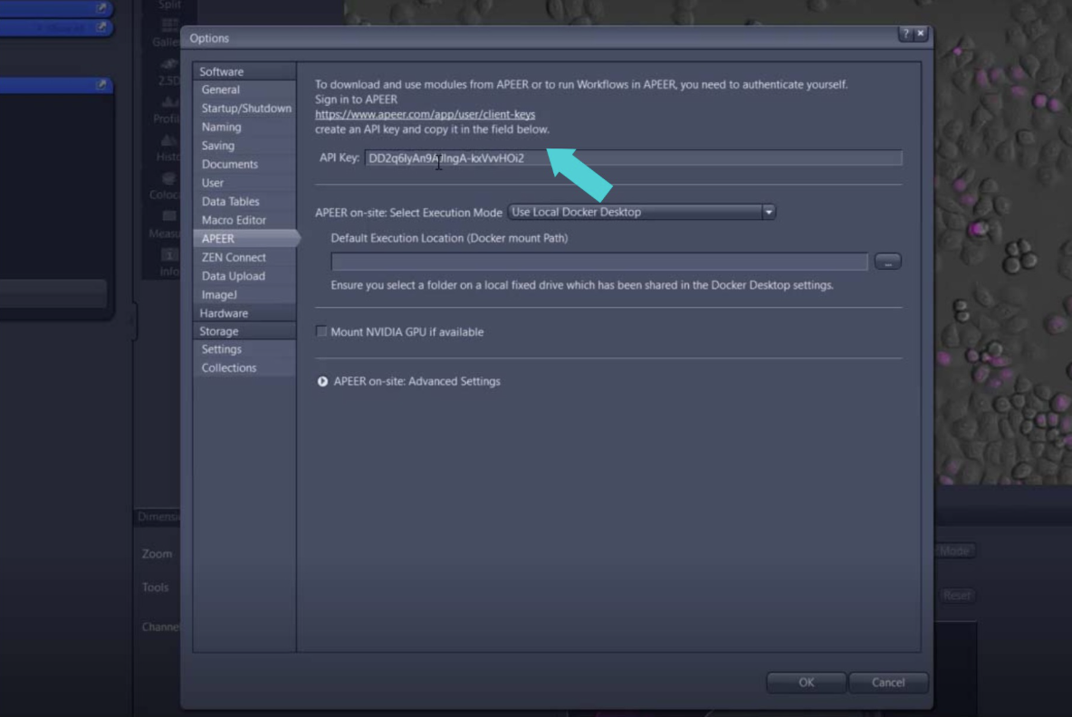 ZEN Options dialog showing APEER API Key field filled and a blue arrow pointing to the API Key
