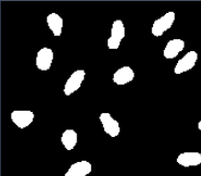 Binary mask image of smaller white segmented oval objects on black background