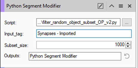Python Segment Modifier showing Script '...\filter_random_object_subset_OP_v2.py', Input_tag 'Synapses - Imported', Subset_size 1000.