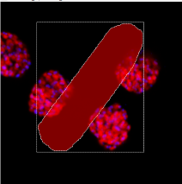 Red elongated rounded rectangle inside dashed white selection box over three red-blue speckled circles on black background