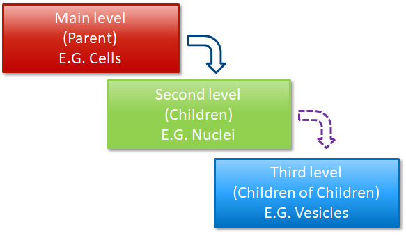 Diagram of three colored boxes labeled Main level (Parent) E.G. Cells; Second level (Children) E.G. Nuclei; Third level (Children of Children) E.G. Vesicles